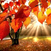 🍂АЛТЫН КҮЗ🍂